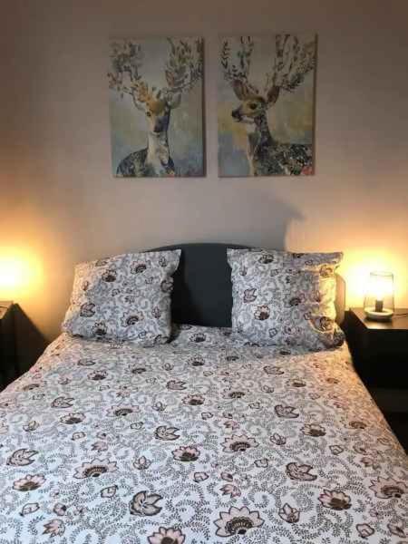 Bel Appartement Hypercentre T3/70 M2 Clermont-Ferrand Extérieur photo